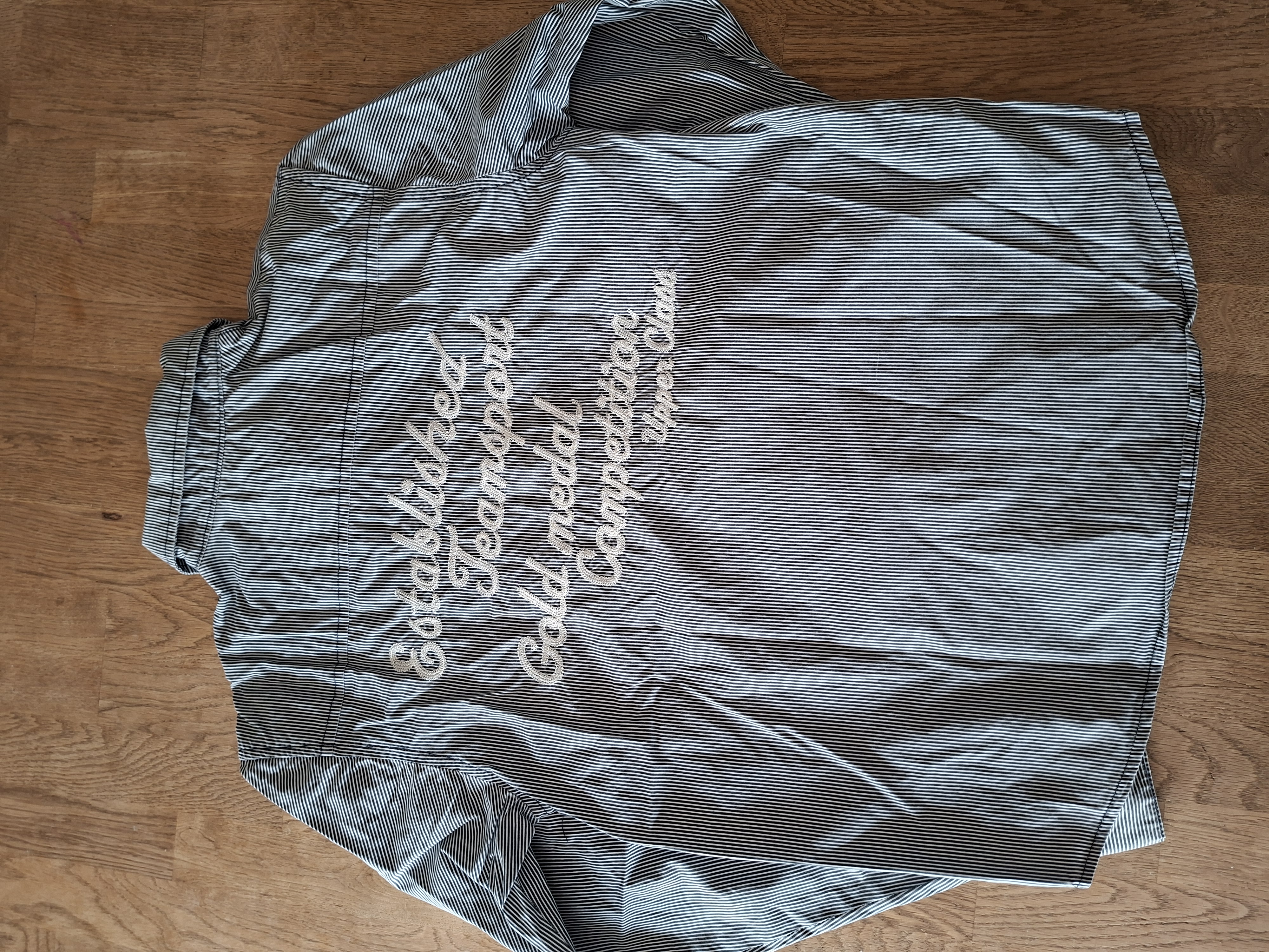 WE Fashion overhemd wit/blauw gestreept met borduurwerk