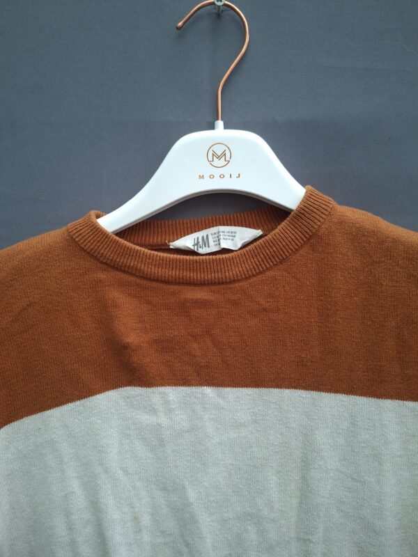 20260409_185942 H&M trui roestbruin/ecru gestreept
