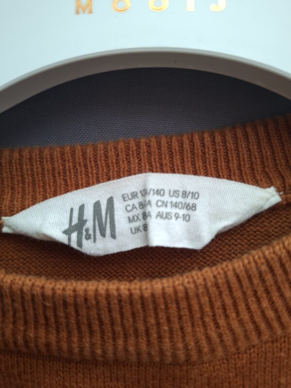 20260409_185945 H&M trui roestbruin/ecru gestreept