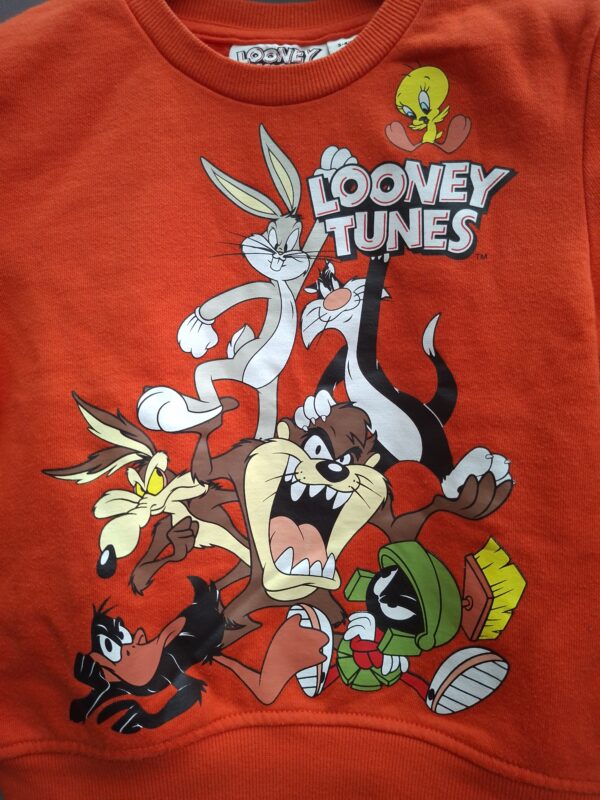 Looney Tunes sweater oranje met karaktersprint