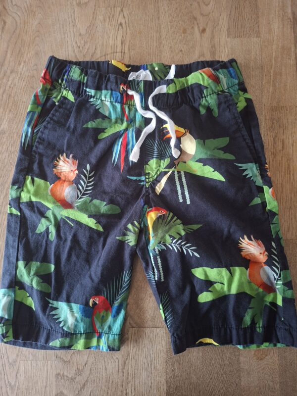 H&M x Dieter Braun short donkerblauw tropische vogels maat 122 nette staat