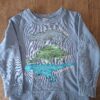 20260418_161309 H&M sweater lichtblauw dinosaurus pailletten maat 110/116 nette staat