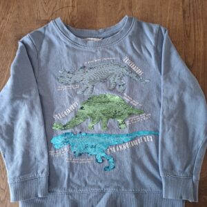 20260418_161309 H&M sweater lichtblauw dinosaurus pailletten maat 110/116 nette staat