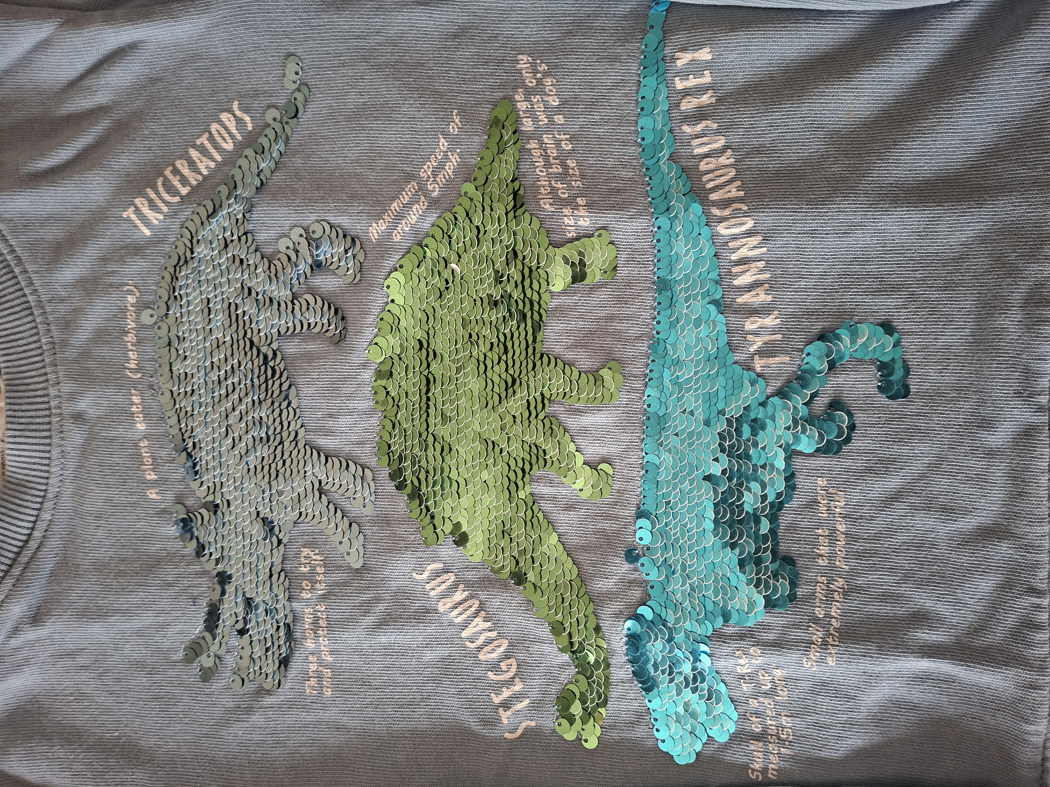 20260418_161314 H&M sweater lichtblauw dinosaurus pailletten maat 110/116 nette staat