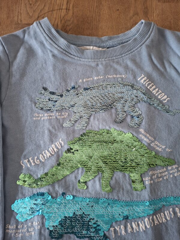 20260418_161317 H&M sweater lichtblauw dinosaurus pailletten maat 110/116 nette staat