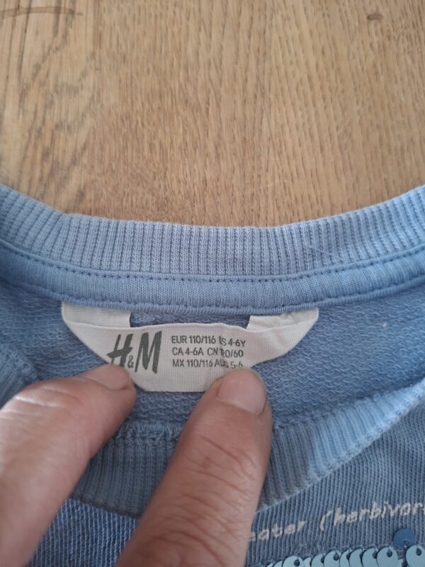 20260418_161327 H&M sweater lichtblauw dinosaurus pailletten maat 110/116 nette staat