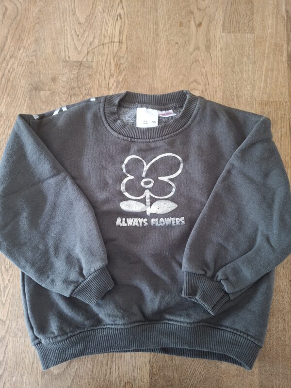 20260418_162353 Zara sweater "Always Flowers" antraciet bloemenprint maat 104 nette staat