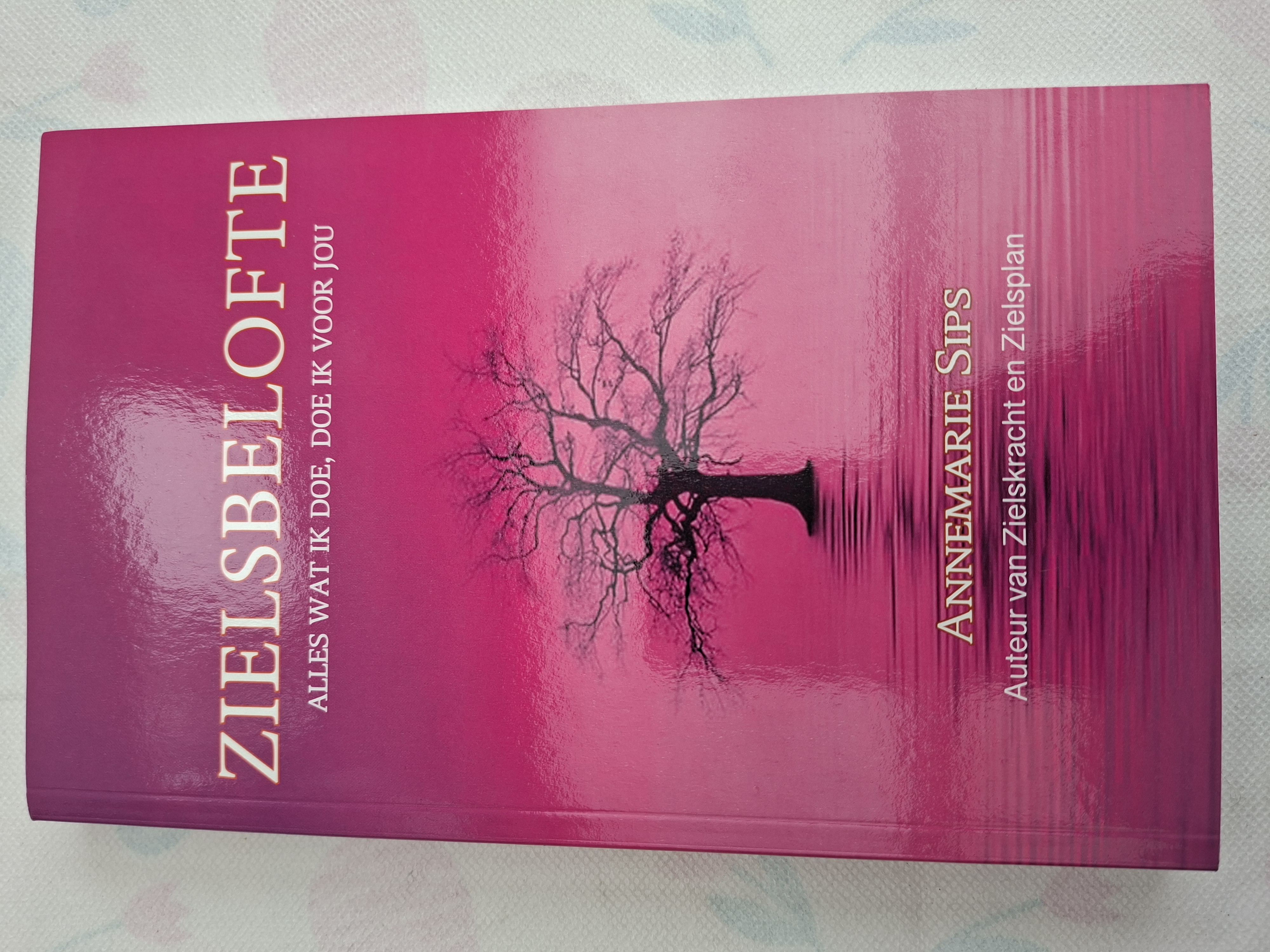 20260606_140407 Zielsbelofte alles wat ik doe doe ik voor jou Annemarie Sips softcover
