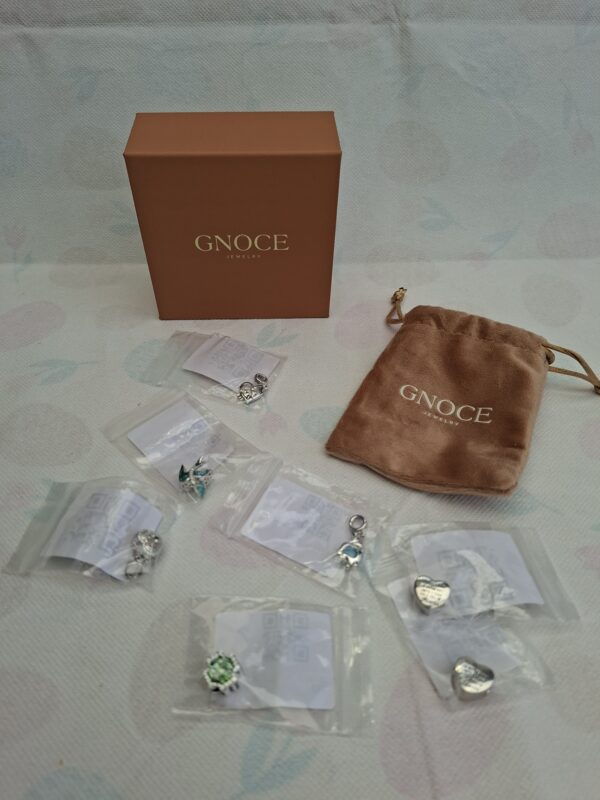 20260610_163808 Gnoce Jewelry sieraden set 6 bedels en ketting, zilverkleurig