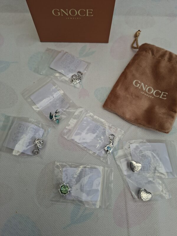 20260610_163811 Gnoce Jewelry sieraden set 6 bedels en ketting, zilverkleurig