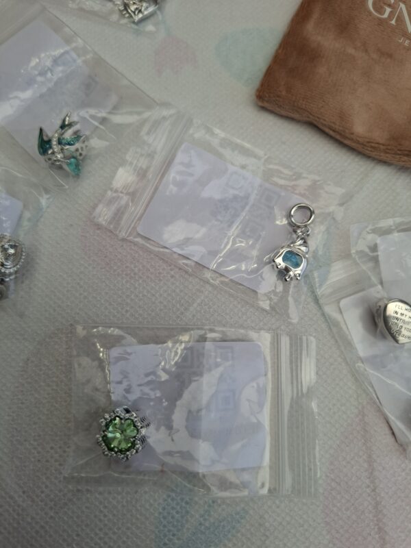20260610_163818 Gnoce Jewelry sieraden set 6 bedels en ketting, zilverkleurig
